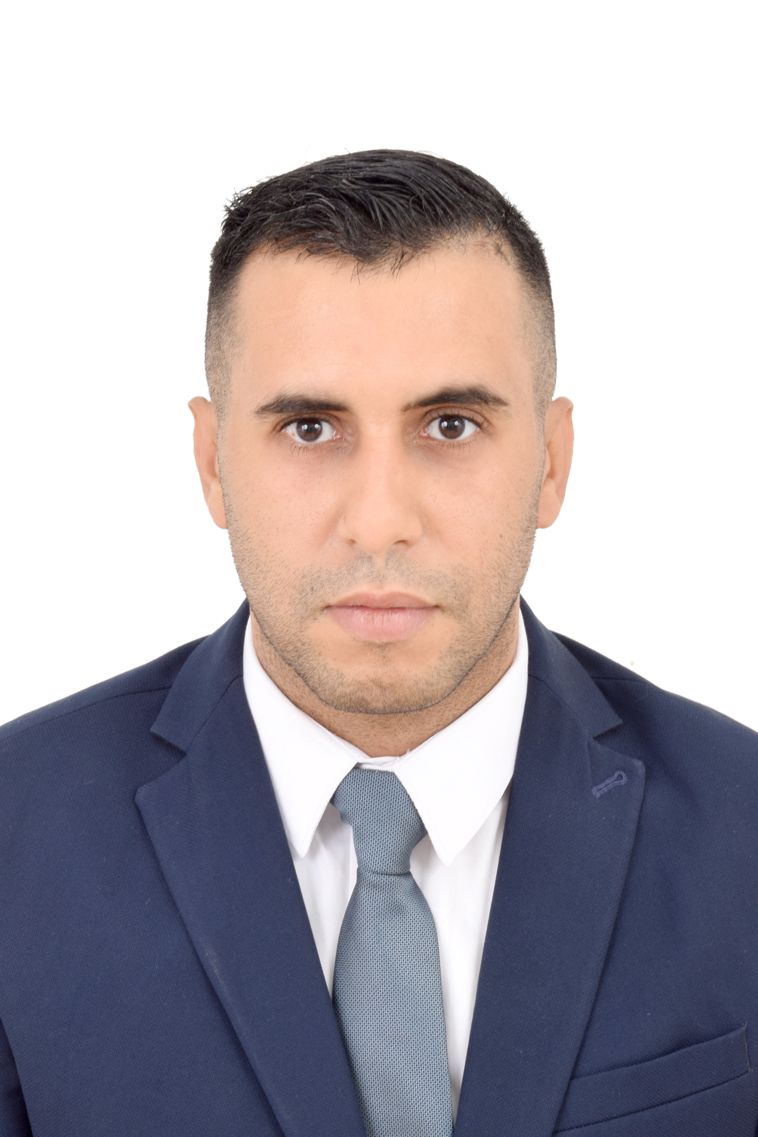 Prof. Dr. Eng. Ihababdelbasset Annaki